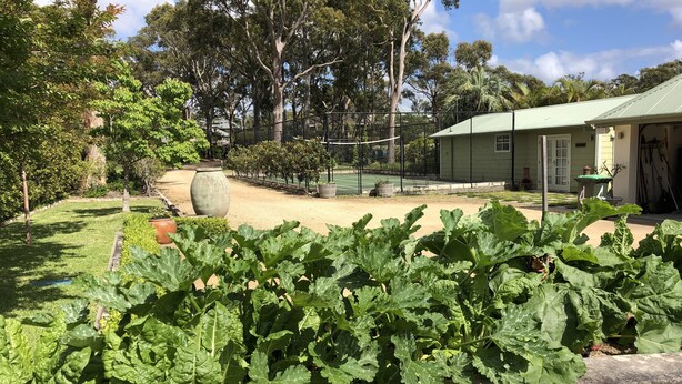 Un jardín con plantas grandes y frondosas en primer plano, una cancha de tenis y una casa con techo verde al fondo.