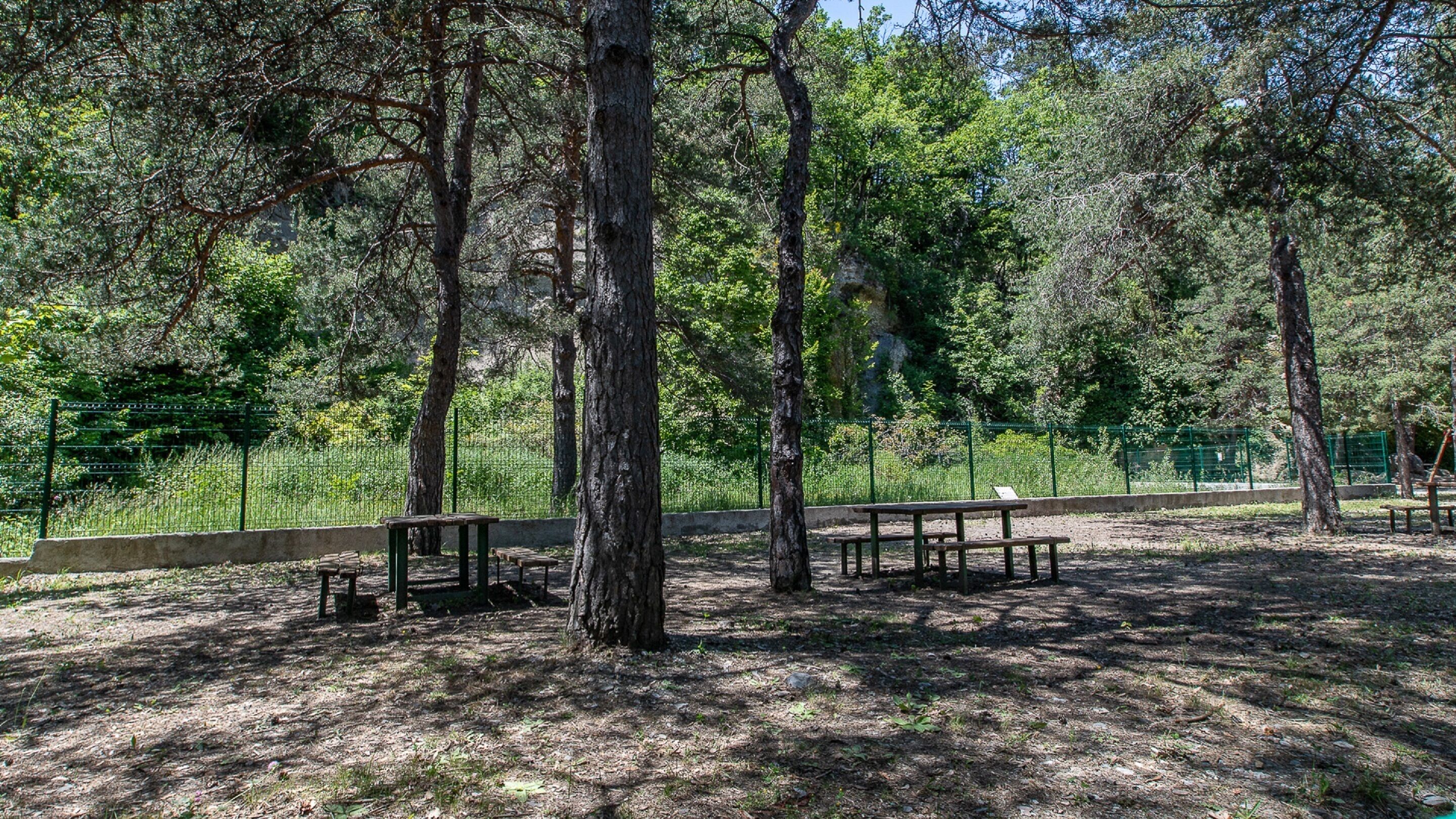 Un parc amb taules de pícnic i una zona tancada.