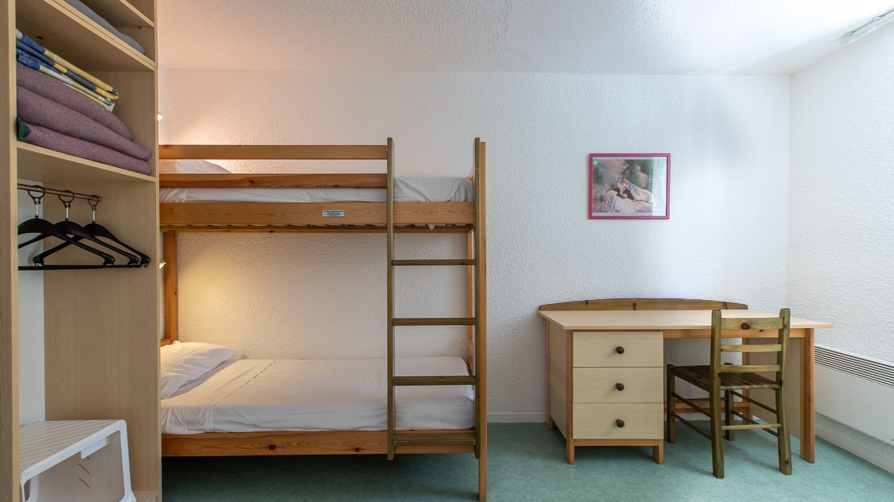 A bunk bed with a ladder, a desk with a chair, and a wardrobe with hangers.