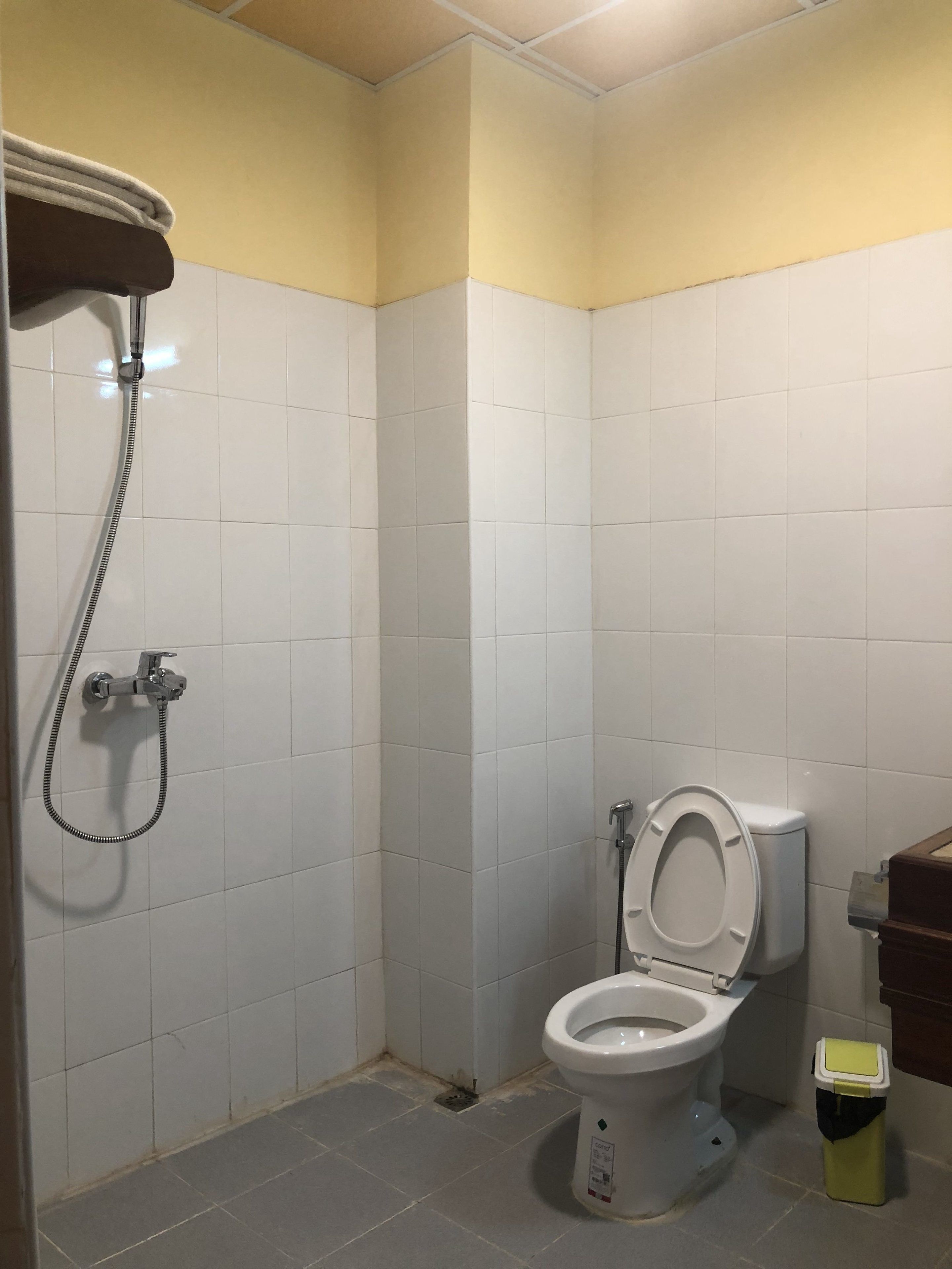 Un baño pequeño con un inodoro, ducha y un cubo de basura.