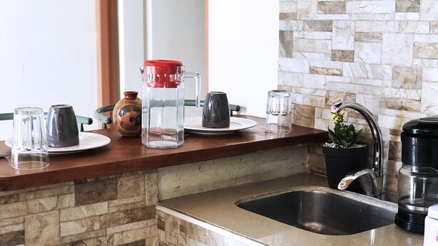 Uma bancada de cozinha com diversos objetos, incluindo uma cafeteira, um vaso e uma planta em vaso.