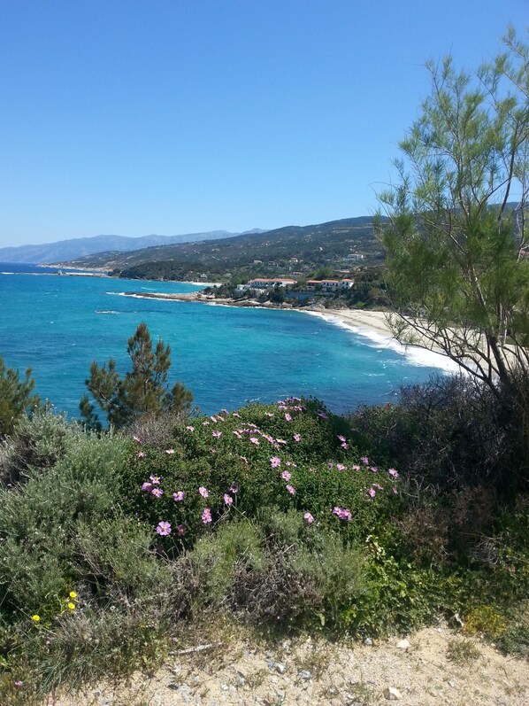 On the beach - 2 bedroom studio, 4 people, 1 bathroom, large terrace, breathtaking sea and mountain views (Gialiskari Ikaria)