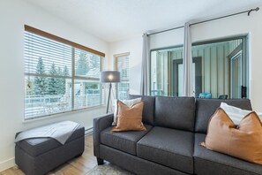 TV, fireplace, stereo