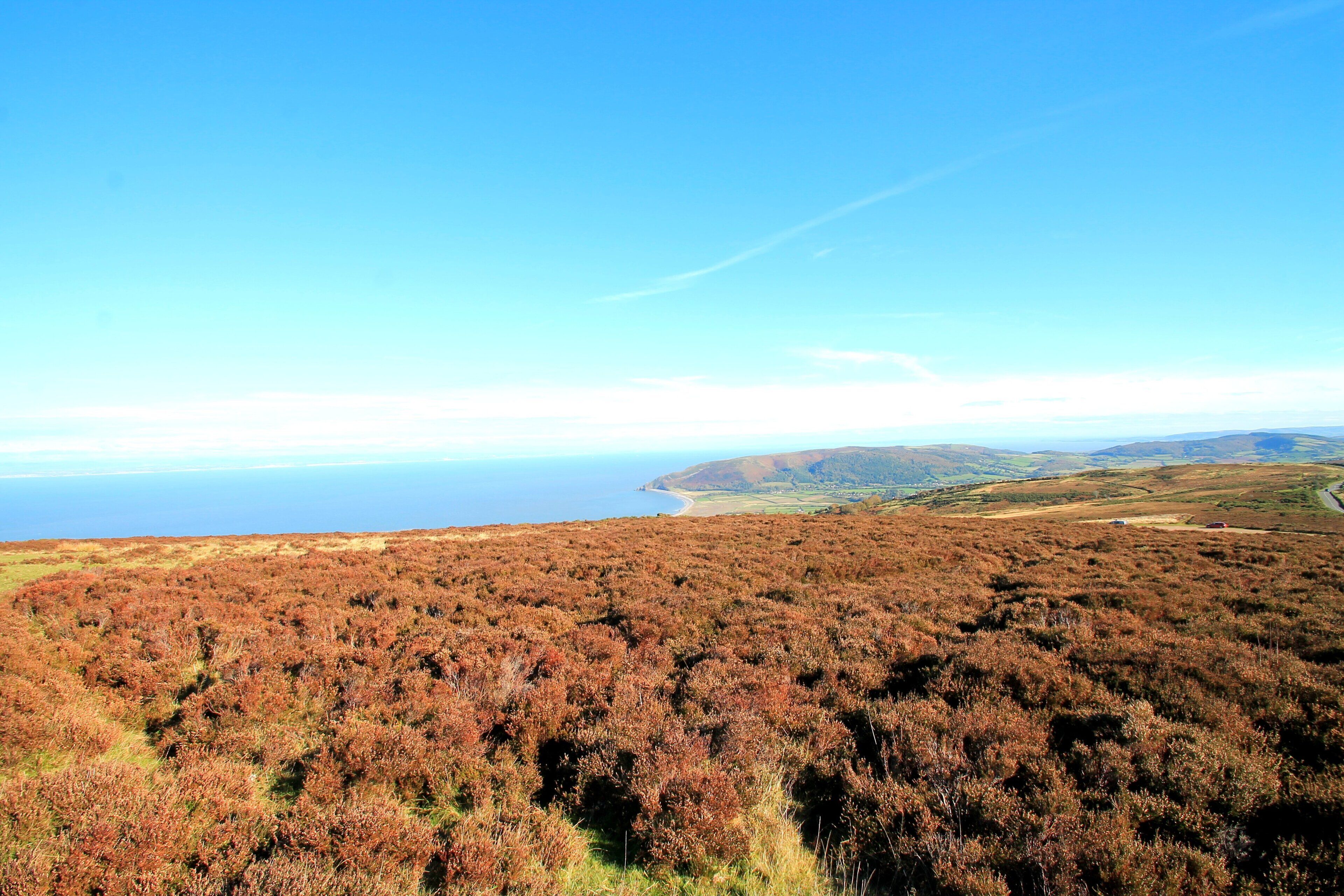 A coastal landscape with heather-covered hills and a clear view of the sea.