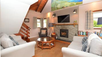 Smart TV, fireplace, books