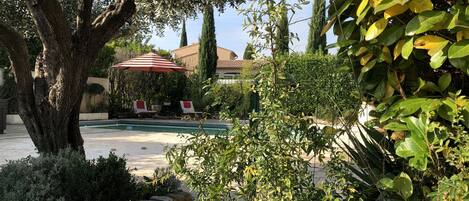 Piscine extérieure