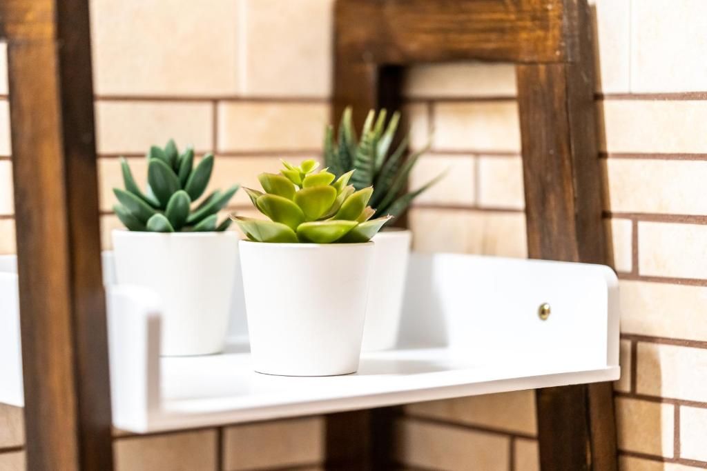 Estante branca com duas plantas em vasos à frente de uma parede azulejada.