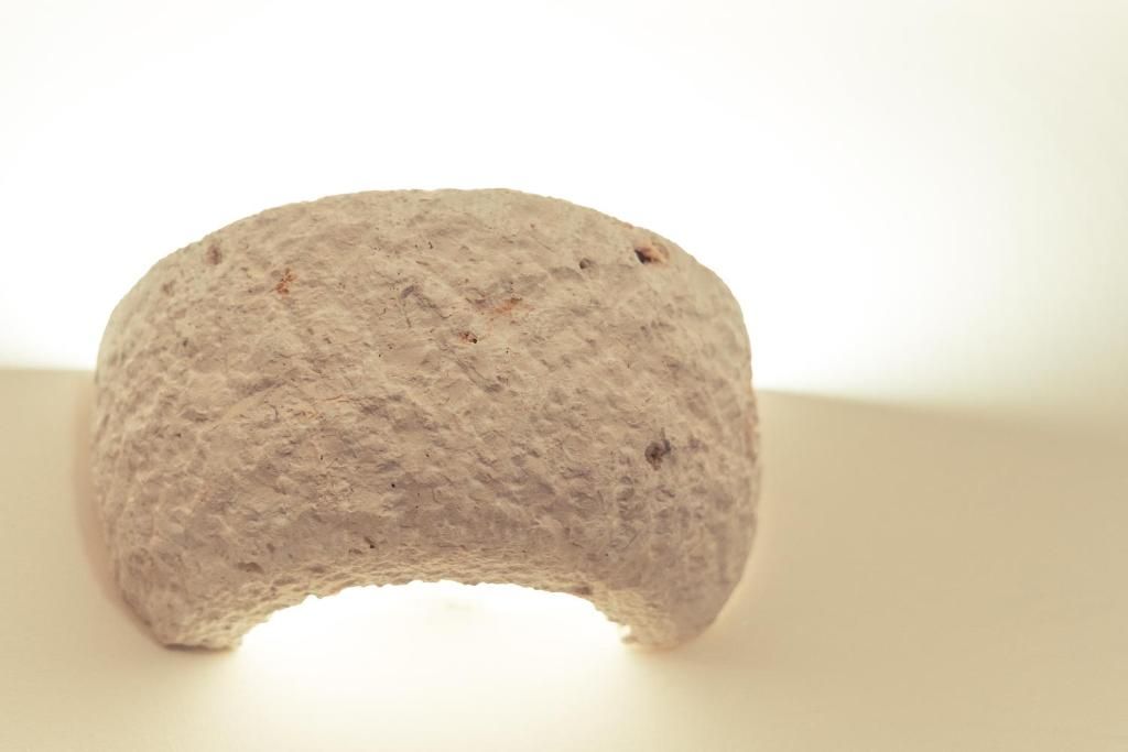 A single rock with a rough texture.