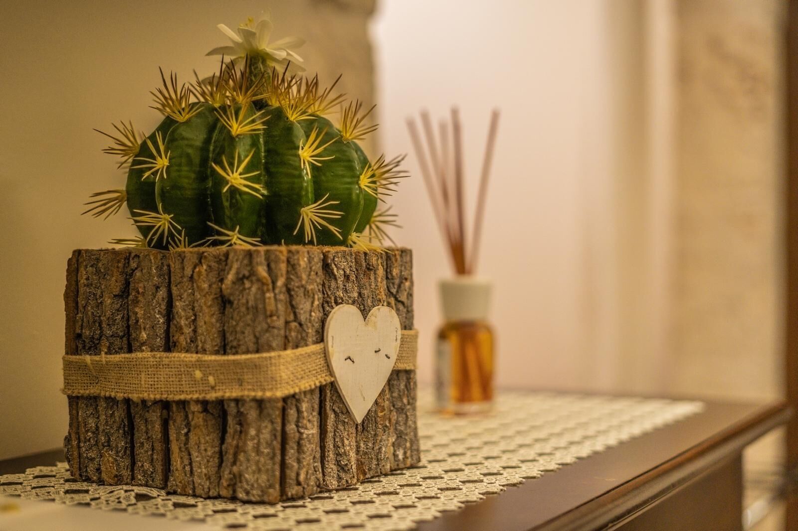 A cactus in a rustic wooden planter with a heart-shaped decoration, placed on a textured surface next to a reed diffuser.