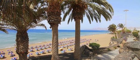 Nära stranden