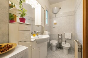 Shower, hair dryer, bidet, towels