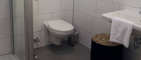 A modern bathroom with a glass shower enclosure, a toilet, a sink, and a trash bin.