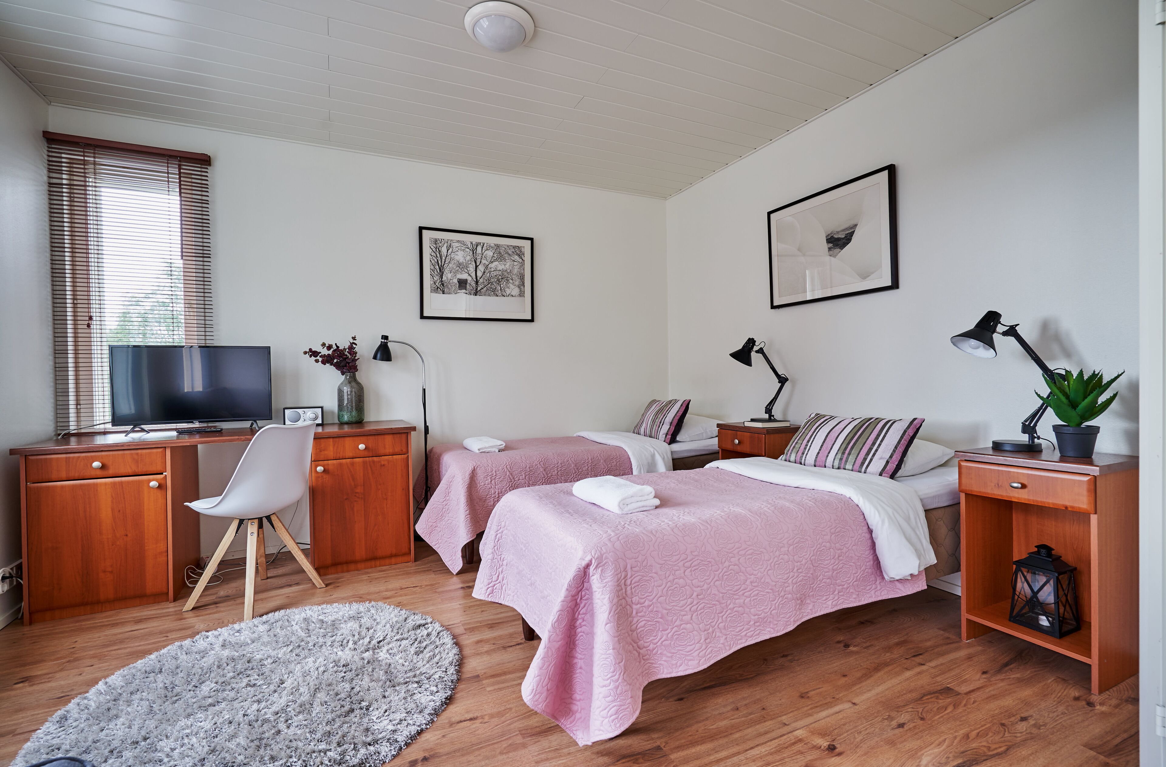 Ett sovrum med två sängar, ett skrivbord med en tv, en stol och ett nattduksbord med en lampa och en växt.