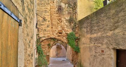 Maison des Arcades 3 piÚces - Labélisée " Meublé de Tourisme" 3 Etoiles