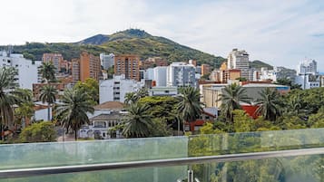 A cityscape with buildings, palm trees, and a hill in the background.