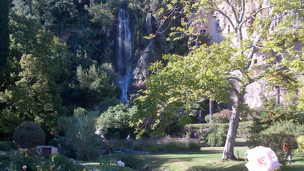 Ein Garten mit einem Wasserfall, üppigem Grün und einer markanten rosa Rose.