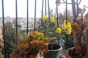 Exterior - MamaBed (Naples)