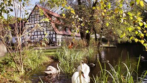 A traditional half-timbered house by a calm water body with swans. - Springbach-Mühle Belzig (Bad Belzig)