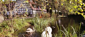 Springbach-Mühle Belzig