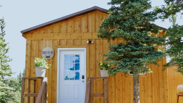 A wooden cabin with a white door, two potted plants, and a small porch. - Arctic Dragonfly Inn (Healy)