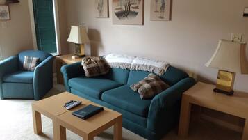 Televisión LCD de 47 pulgadas con canales por cable y televisión