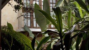 Edifici tradicional amb un balcó, envoltat de vegetació exuberant i una finestra amb persianes de fusta.