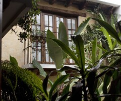 Un edificio tradicional con balcón, rodeado de exuberante vegetación y una ventana con persianas de madera.