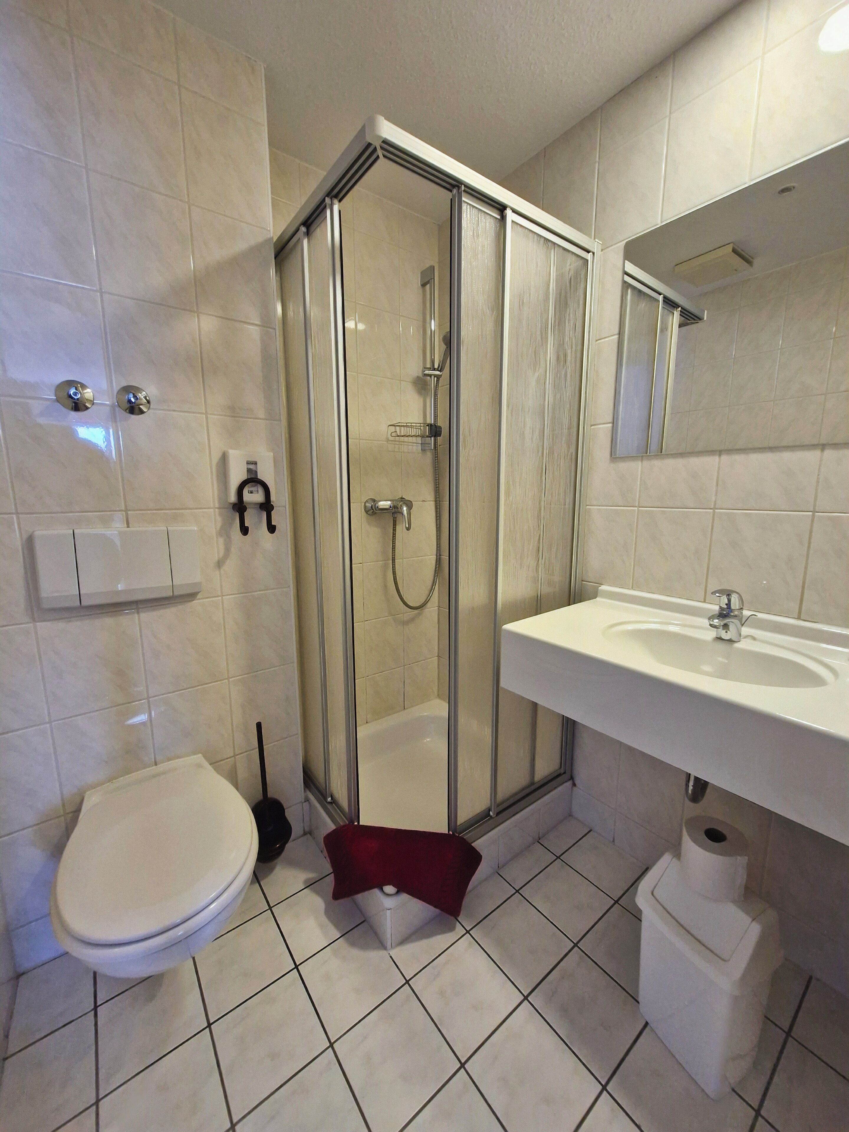 A bathroom with a toilet, sink, shower, and a mirror.