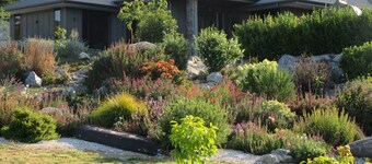 Redwood Valley B & B