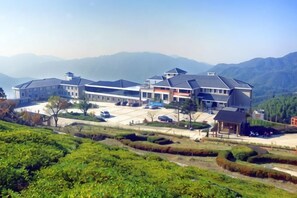A multi-story building with a flat roof and a large parking area.