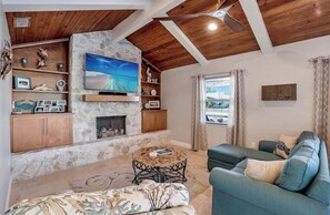 Smart TV, fireplace, DVD player, books