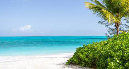 Tar Bay's Hidden Treasure! "The place to be"