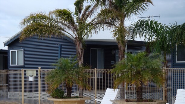 A pool area with lounge chairs and palm trees, a fence, and a building with a dark exterior. - The luxury guest house Busselton (Busselton)
