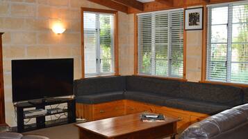 TV, DVD player, video library, stereo