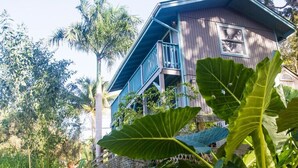 Una casa amb un balcó blau, envoltada de vegetació exuberante i palmeres.