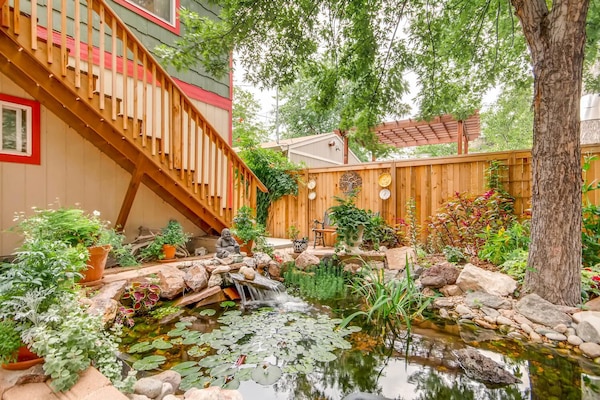 Koi pond