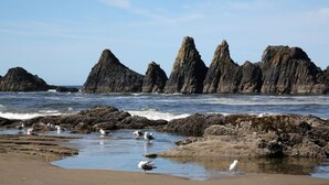 A coastal scene with rocky formations and seagulls on the beach.