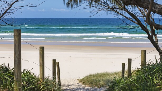 A beach with a wooden fence leading to the shore, surrounded by greenery.