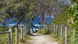A coastal path with wooden railings, leading to the ocean.