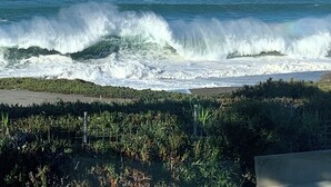 A coastal view with waves crashing onto the shore, a clear sky, and a distant horizon. - Bodega Bay - Magical Ocean Front View- Doesn’t get better than this!! (Bodega Bay)