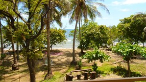 A beach view with palm trees, a hammock, and a wooden bench. - Rita & Sonny Beach Apt-B (Tamarindo-Playa Callejones)