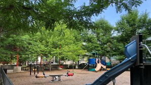 A playground with a slide, swings, and a climbing structure. - Charming Carriage House In Prospect New Town (Longmont)