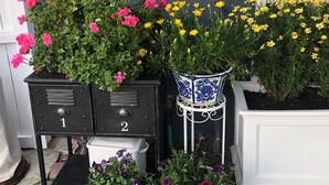 A mailbox with the label "COUNTRY HOME" and a variety of potted plants in front of a blue wall. - Charming Carriage House In Prospect New Town (Longmont)