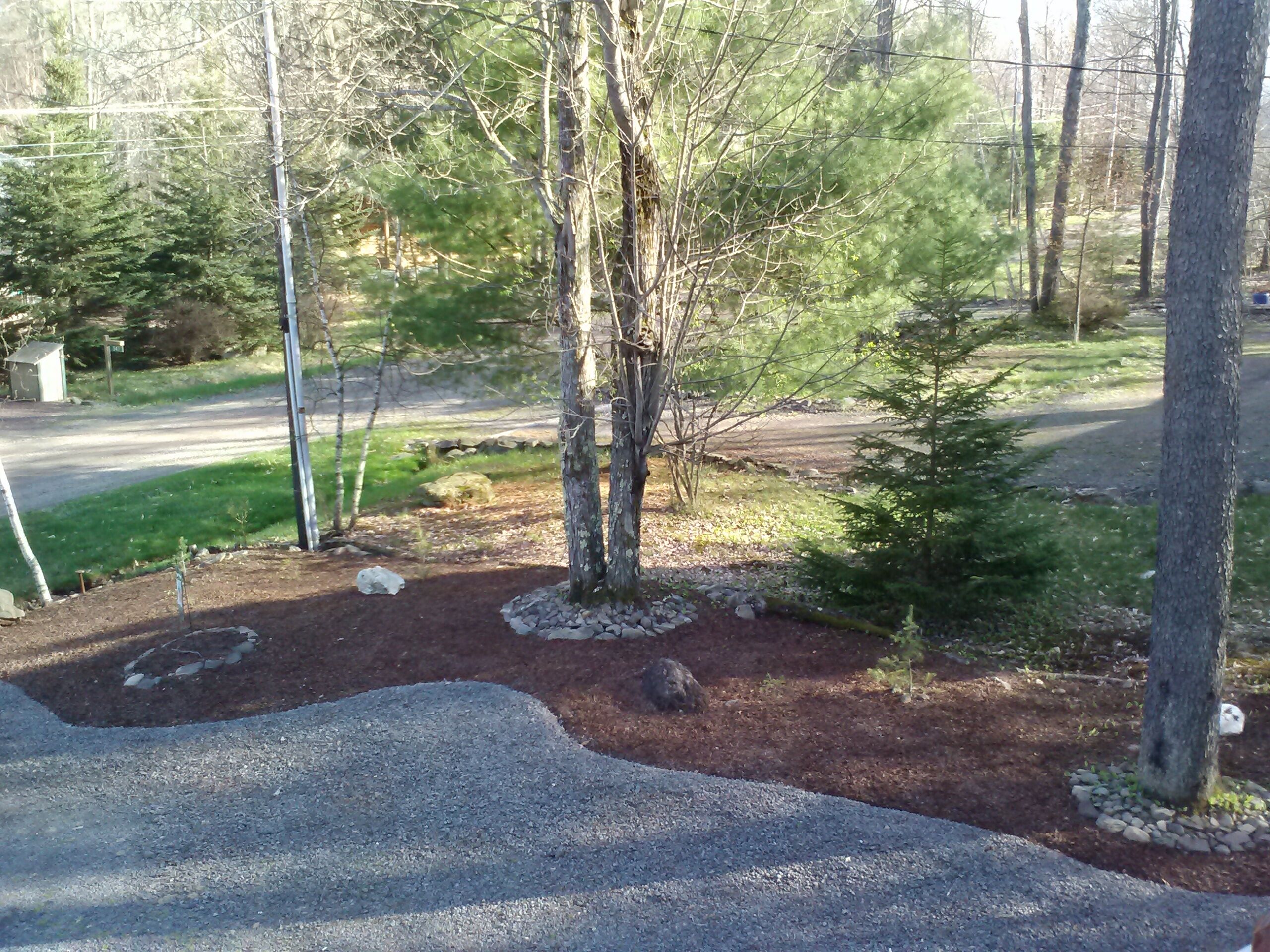 A landscaped area with a small tree, a stone pathway, and a gravel border.