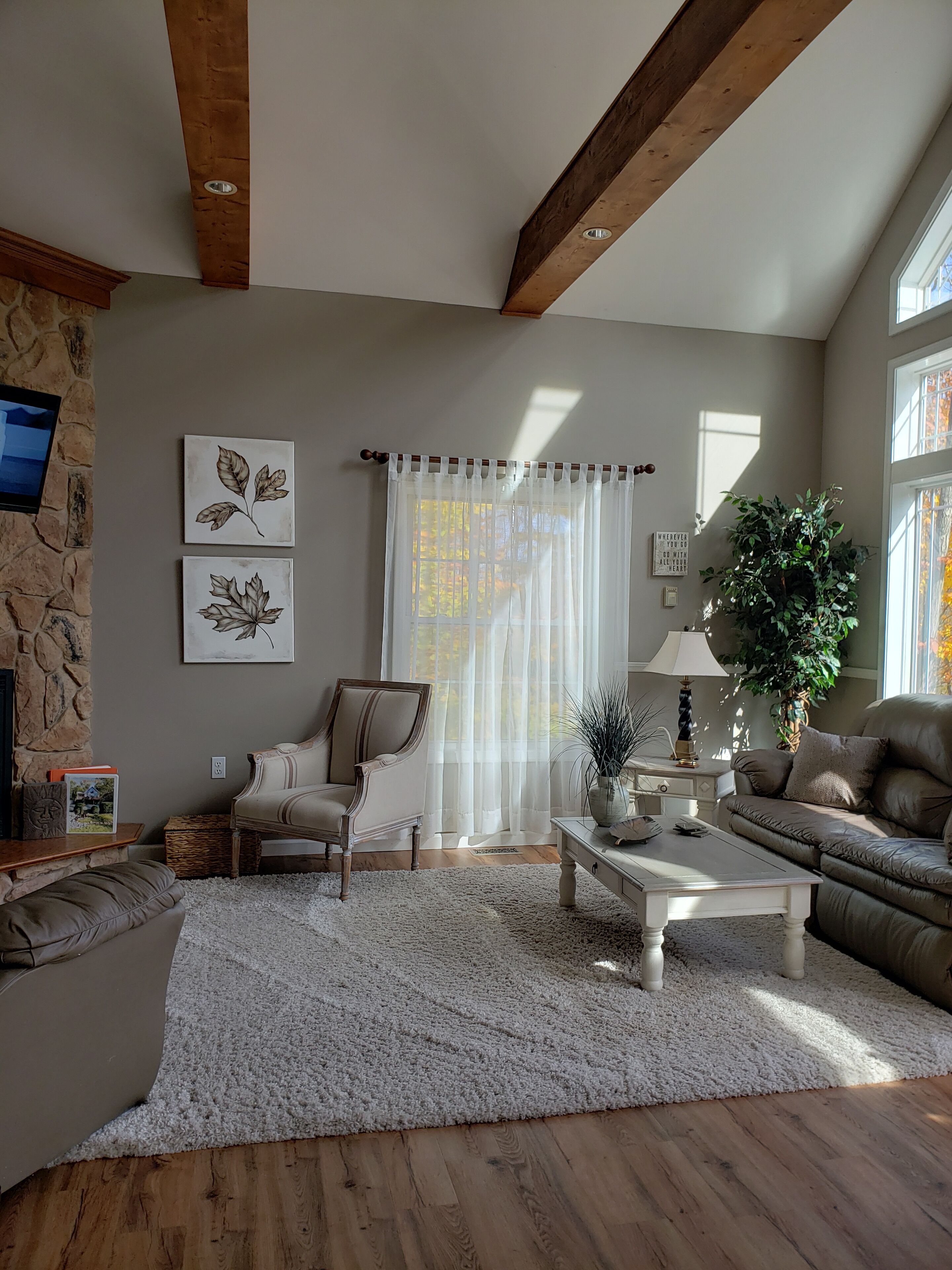Smart TV, fireplace, DVD player, books