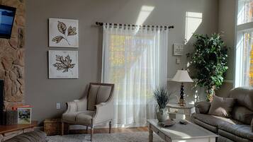 Smart TV, fireplace, DVD player, books