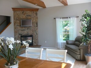 智能电视、壁炉、DVD 播放器、书