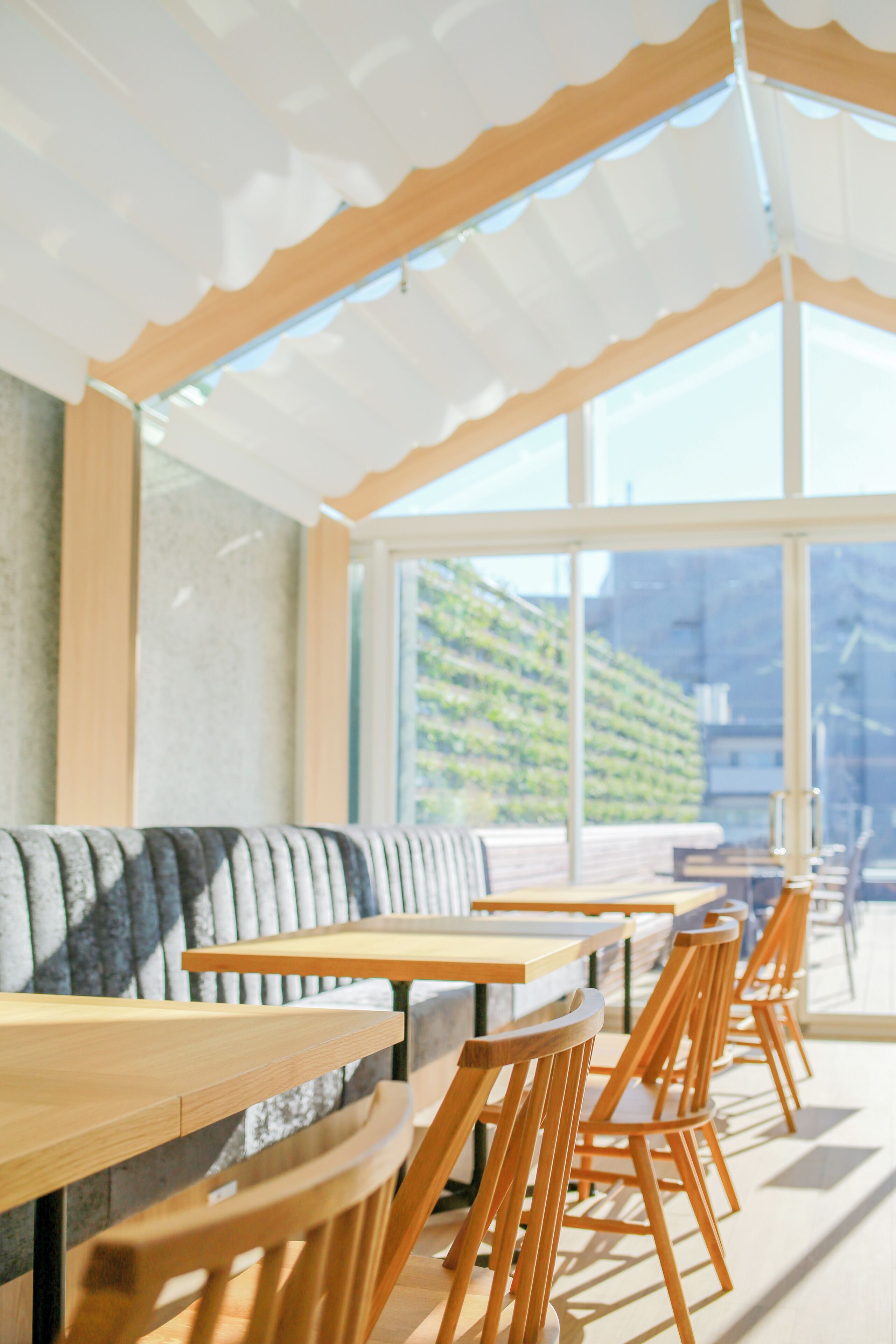 Foto - Hotel Comfact