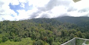 Pemandangan gunung