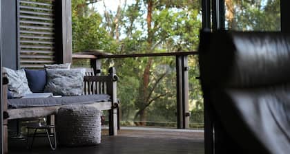 Adrift in the tree tops On the lake by the sea